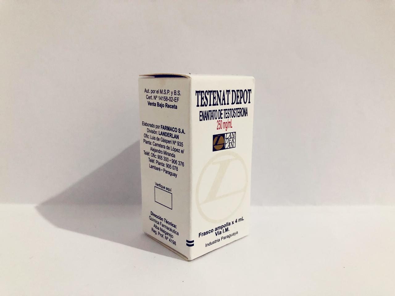 Imagem do WhatsApp 14/02/2019 às 14.35.37