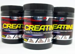 CREATINA 300g