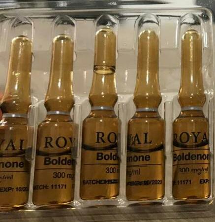 Imagem do WhatsApp 2020-02-14 às 19.37.49