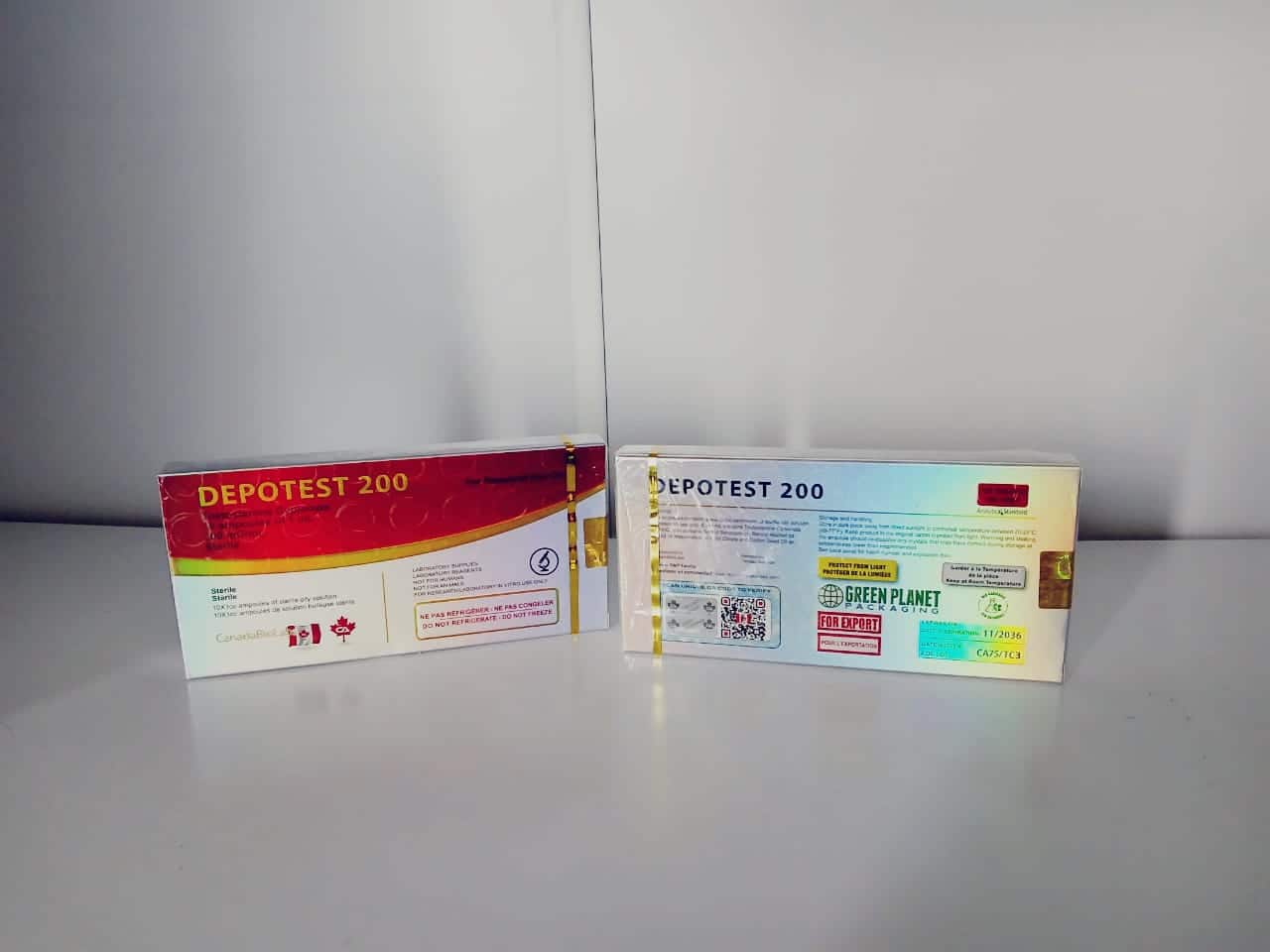 Imagem do WhatsApp 2024-10-13 às 18.24.57 (1)