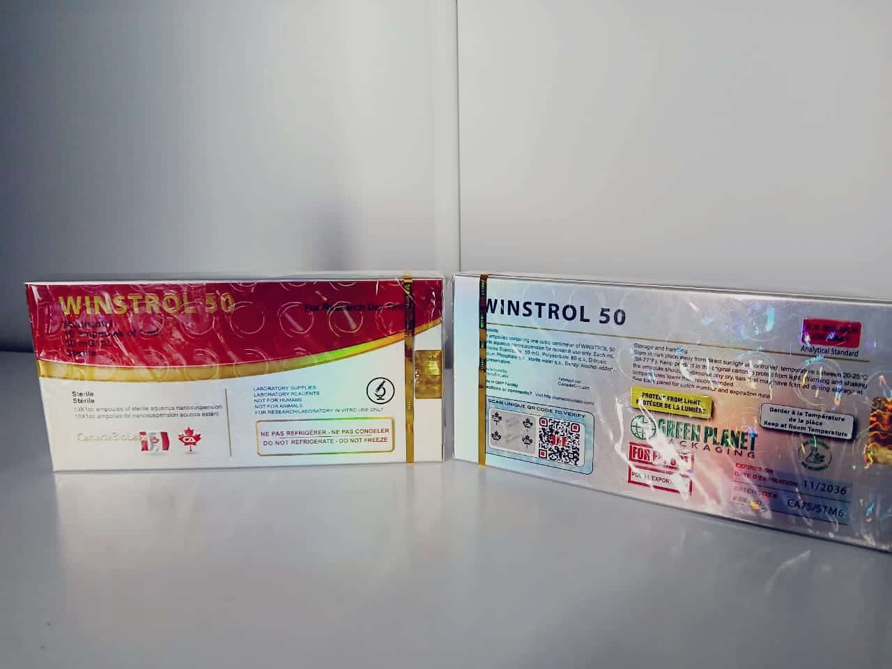 Imagem do WhatsApp 2024-10-13 às 18.24.57