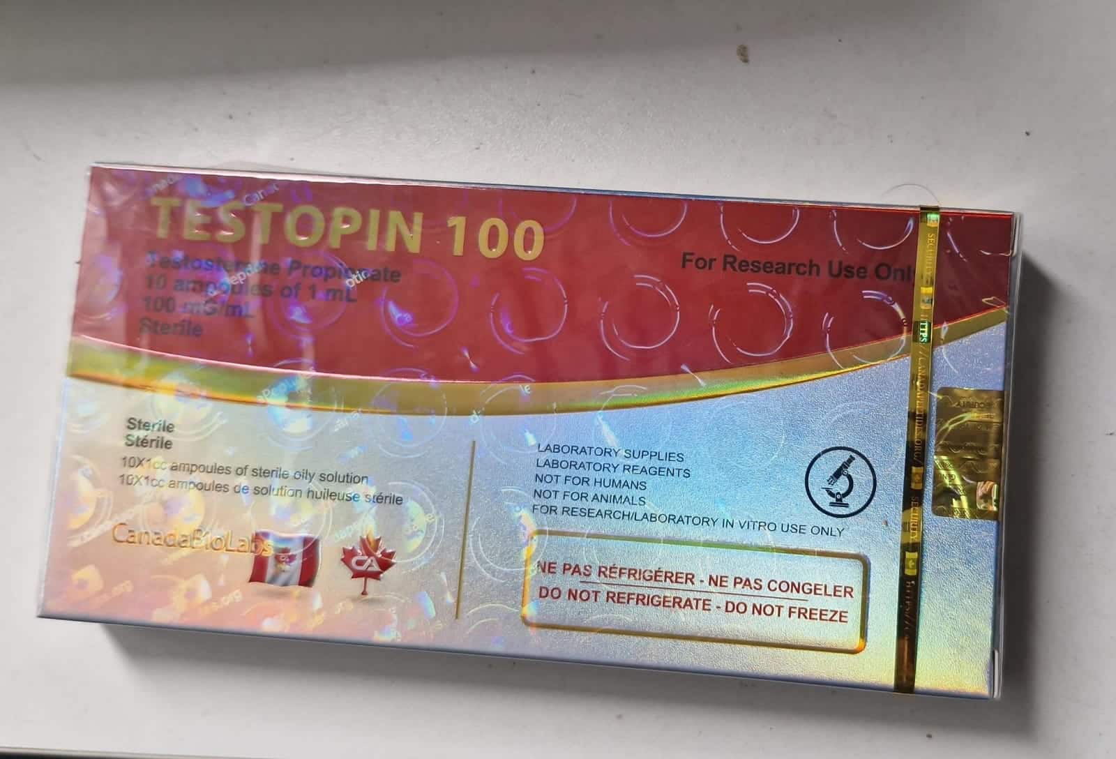 Imagem do WhatsApp 2024-10-13 às 18.24.59