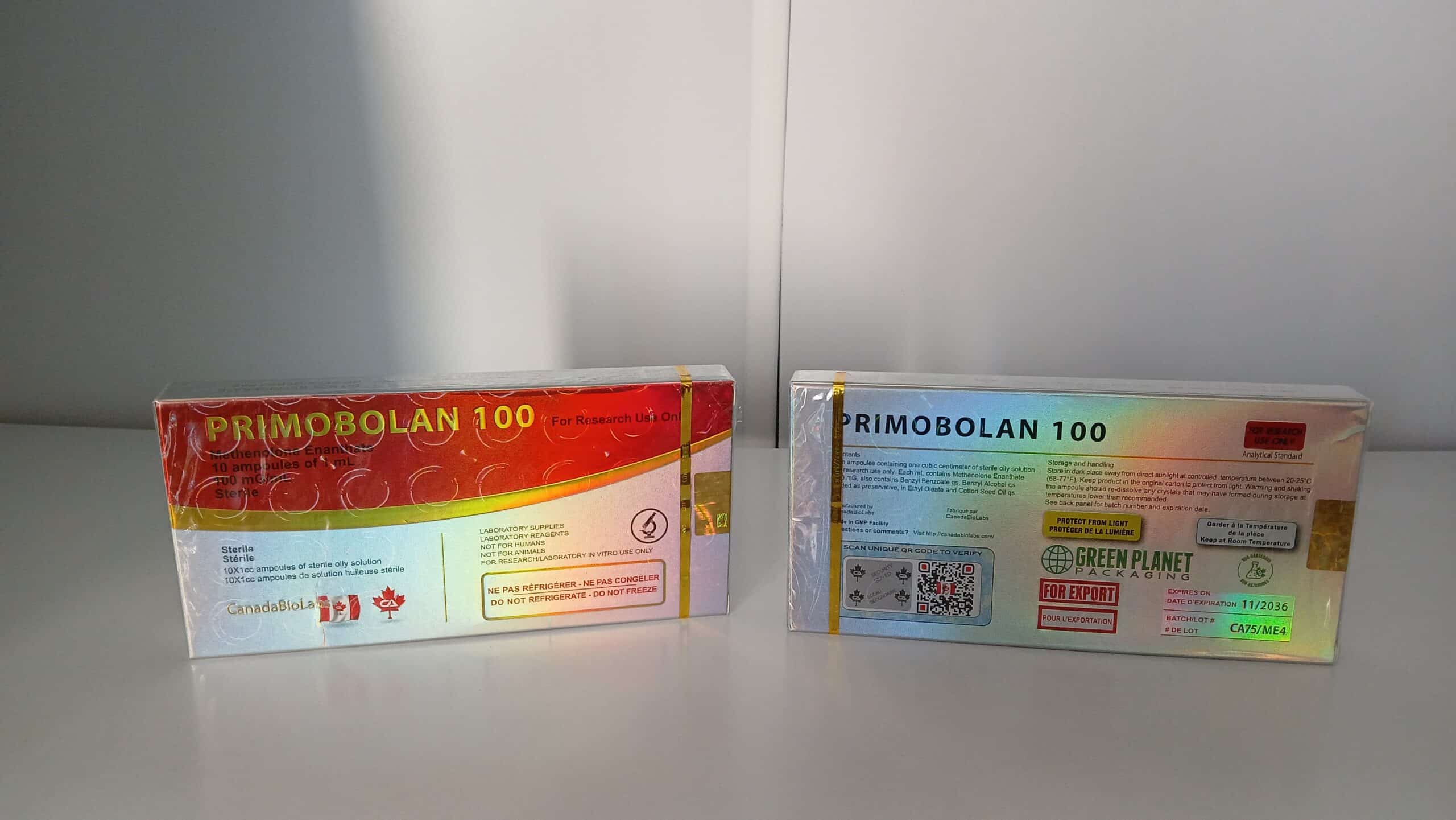 Imagem do WhatsApp 2024-10-13 às 18.26.03