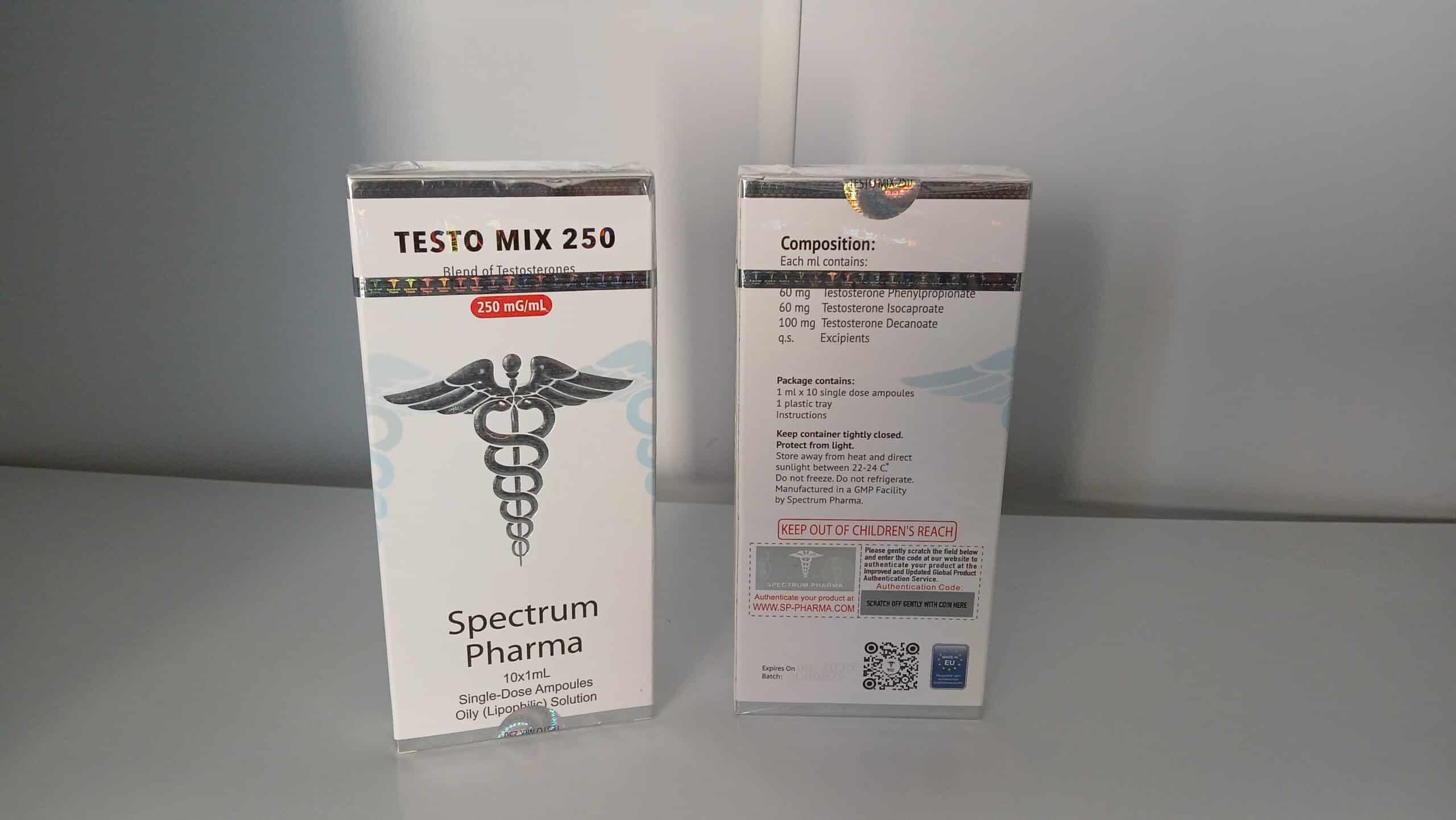 Imagem do WhatsApp 2024-10-13 às 18.26.06