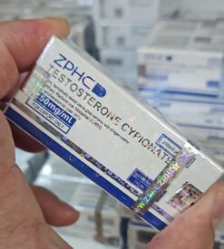 Cipionato de testosterona - 10ml 250mg